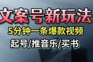 文案号新玩法,5分钟一条爆款视频,流量高,起号快,多方位变现