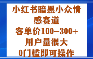 小红书暗黑小众情感赛道,客单价100-300+用户量很大,0门槛即可操作