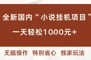 全新国内小说挂G项目，多窗口无脑跑，一天轻松1k+，特别省心【揭秘】